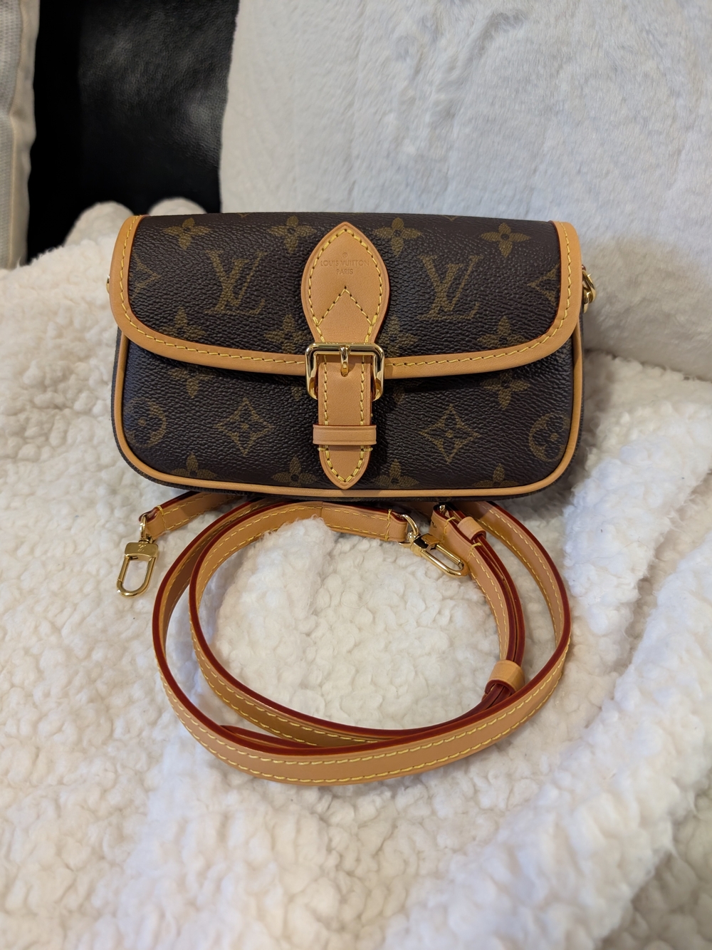Louis Vuitton Nano Diane (New)